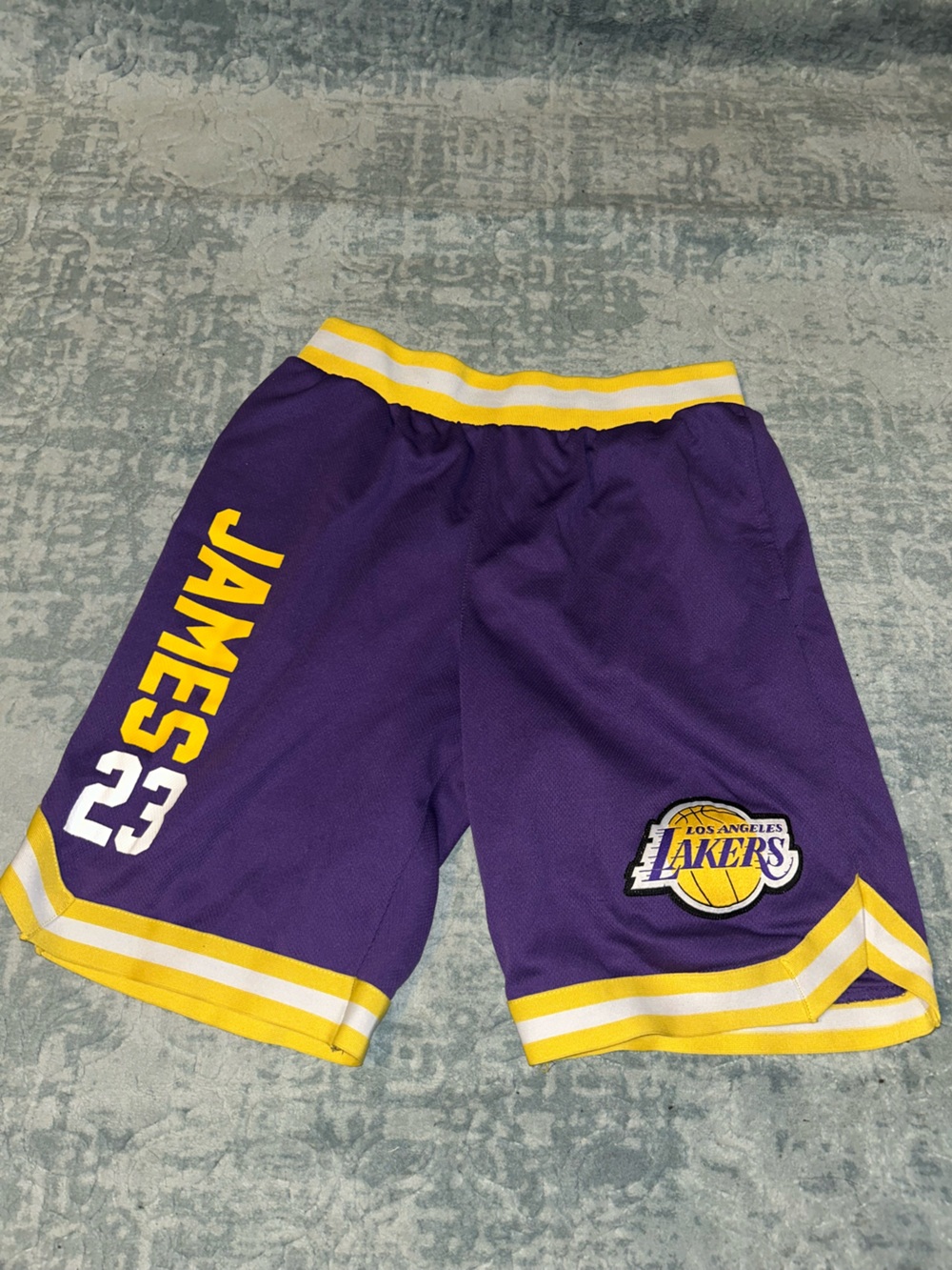 Los Angeles Lakers Purple Basketball Shorts - LeBron James 23